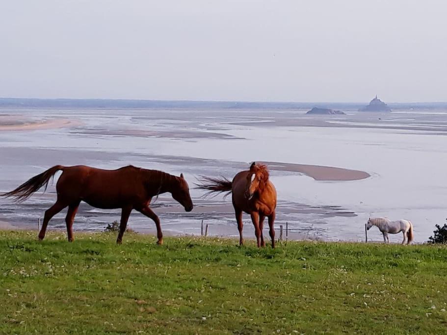Maison Vue Sur Le Mont Saint Michel Et Sa Baie Champeaux Exteriér fotografie